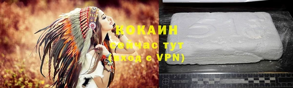 spice Богородицк