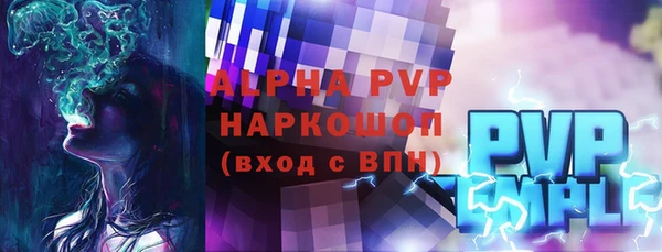 spice Богородицк