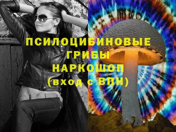 метадон Богданович