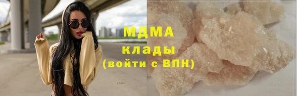 spice Богородицк